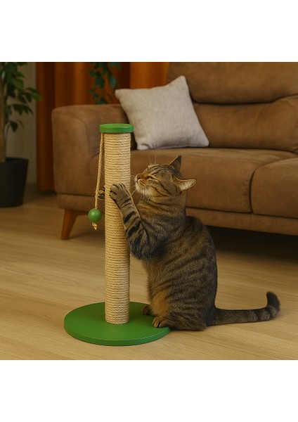 Meadow – Doğal Ahşap 50 cm Renkli Kapaklı Jüt Kedi Tırmalama Direği modelleri