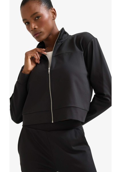 Fit Standart Fit Dik Yaka Esnek Kumaş İçi Yumuşak Tüylü Fermuarlı Sweatshirt E8981AX25AU