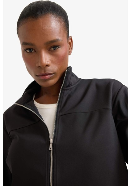 Fit Standart Fit Dik Yaka Esnek Kumaş İçi Yumuşak Tüylü Fermuarlı Sweatshirt E8981AX25AU indirimleri