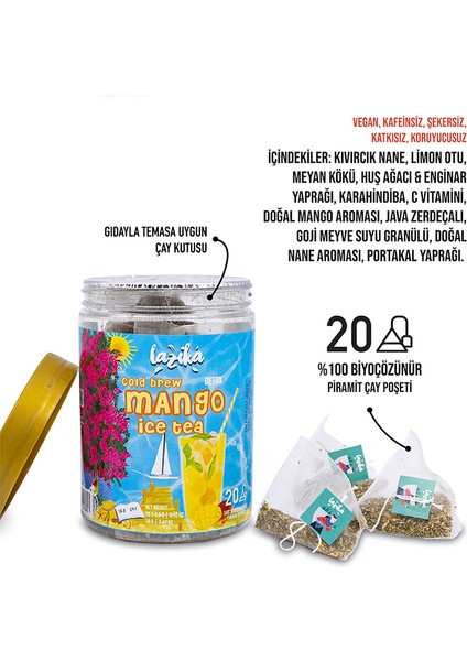 Soğuk Demleme Naneli Mango Arolamalı Detoks Çayı fiyatları