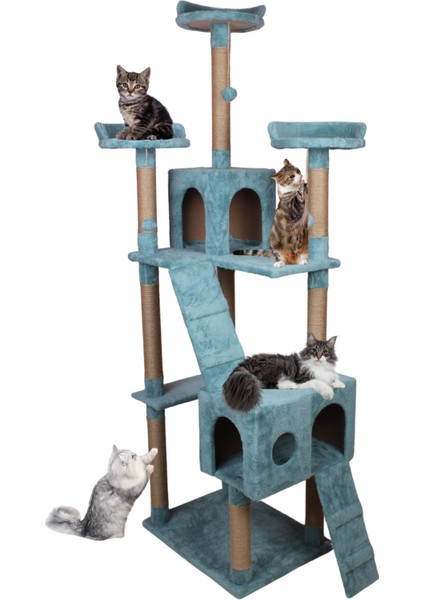 Cat City Yeni Rezidans Kedi Oyun Evi ve Tırmalaması