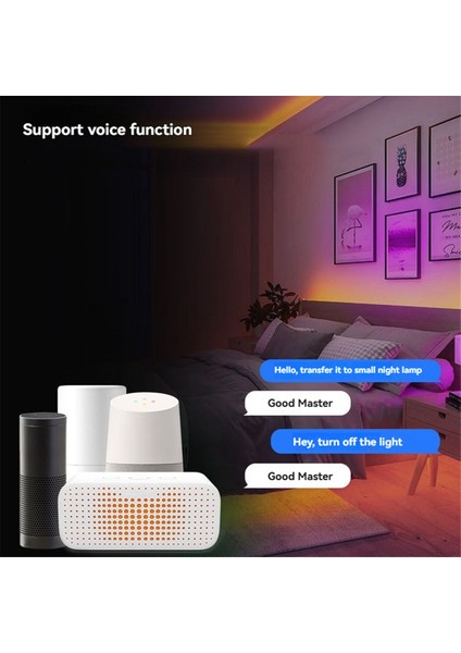 DR04W Tuya Spı Wıfı Rgbw LED Kontrol Cihazı Dimmer Google Home Alexa ile Çalışır WS2811 WS2812B WS2815 Rgb LED Şerit (Yurt Dışından) modelleri