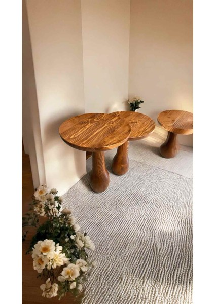 Masif Ahşap Yan Sehpa Seti – 2’li Açık Ceviz Renk Doğal Zigon ve Fiskos fiyatları