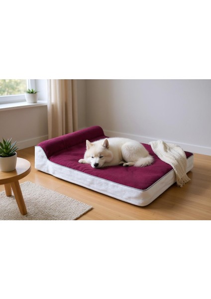 Viscopet Premium Cleopatra Blok Süngerli Alezli Fermuarlı Yıkanabilir Köpek Yatağı