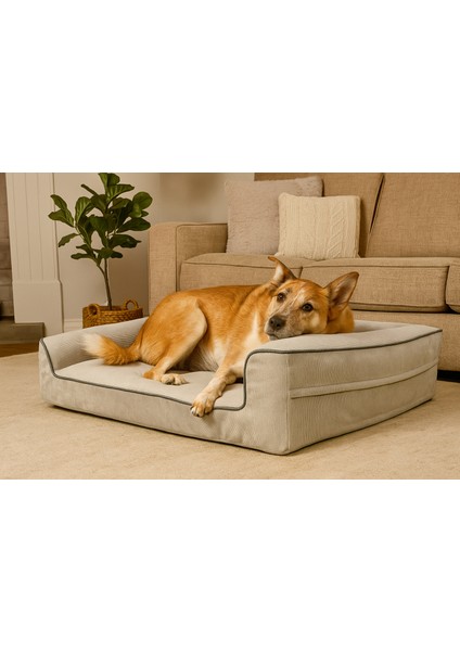 Premium Sofa Blok Sungerli Alezli Fermuarlı Yıkanabilir Köpek Yatağı-S-Ten