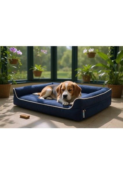 Premium Sofa Blok Sungerli Alezli Fermuarlı Yıkanabilir Köpek Yatağı
