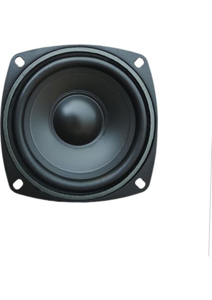 10 cm Çıplak Hoparlör 4" - Pw-10.1