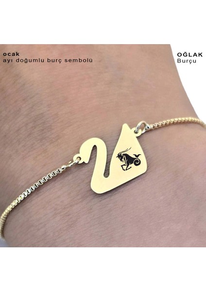 Oğlak Burçlarına Özel Kuğu Kuşu Motifli 14 Ayar Altın Plakalı Zincirli Hediye fırsatları