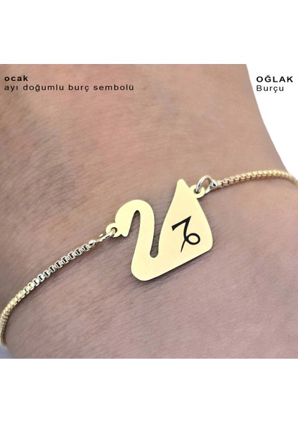 Ocak Ayı Doğumlarına Özel Kuğu Kuşu Motifli 14 Ayar Altın Plakalı Zincirli Hediye fırsatları