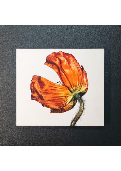 Pet Shop Boys - Release