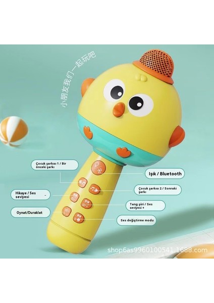 Çocuk Sevimli Tavuk Erken Eğitim Bulmaca Mikrofon Ses Entegre Mikrofon Şarj Bebek Karaoke Müzik Oyuncak (Yurt Dışından) modelleri