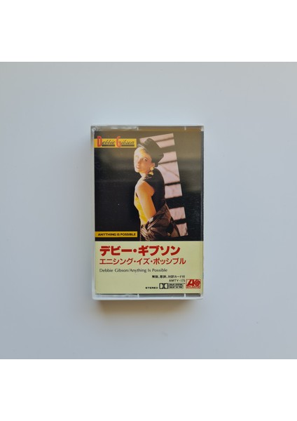 Debbie Gibson - Anything Is Possible