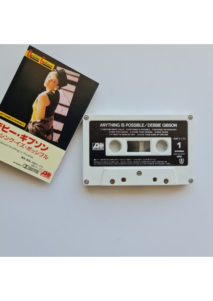 Debbie Gibson - Anything Is Possible fiyatları
