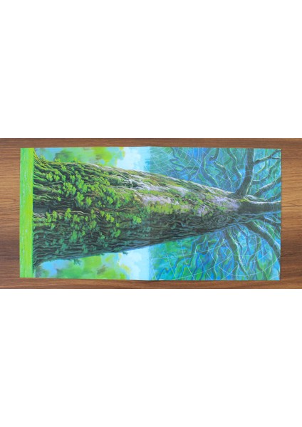 Joe Hisaishi – Laputa: Castle In The Sky modelleri