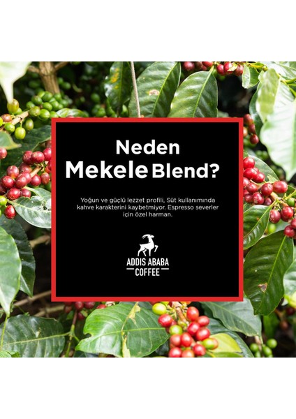 Mekele Blend Kapsül Kahve 100'LÜ ( Nespresso Ile Uyumlu Alüminyum Kapsül Kahve ) fırsatları