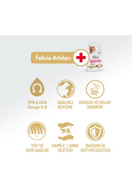 2 kg Kolajenli Tavuklu Az Tahıllı Yavru Kedi Maması fiyatları