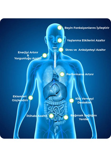 Hidrojenle Zenginleştirilmiş Su Şişesi Cihazı Taşınabilir Su Jeneratörü Sporcu Matarası Ev Ofis Için Hidrojenli Su fırsatları