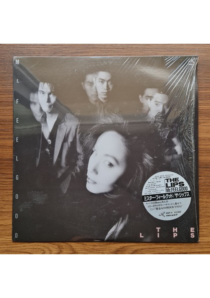 The Lips – Mr. Feelgood