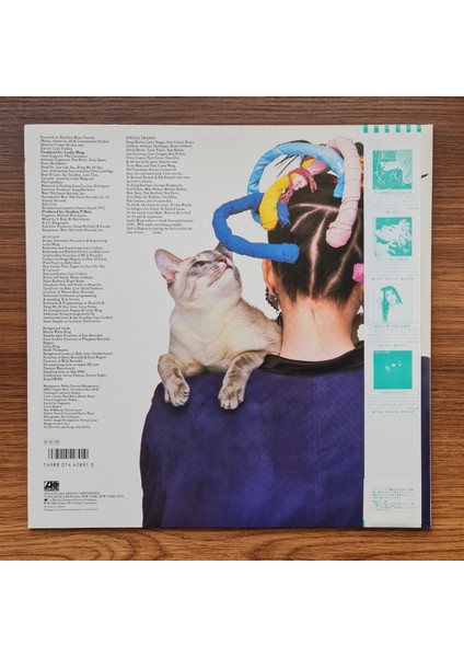 Regina – Curiosity fiyatları