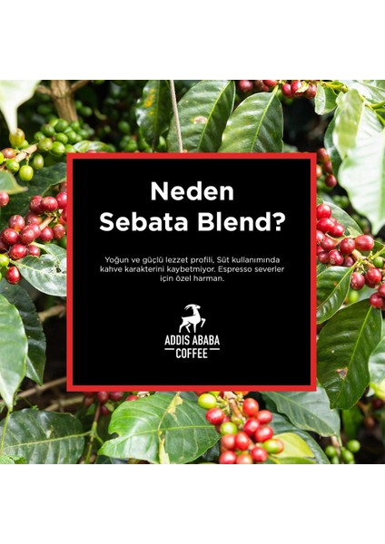 Sebata Blend Kapsül Kahve 100'LÜ ( Nespresso Ile Uyumlu Alüminyum Kapsül Kahve ) fırsatları