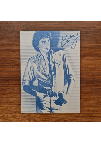 Barry Manilow – Barry fırsatları