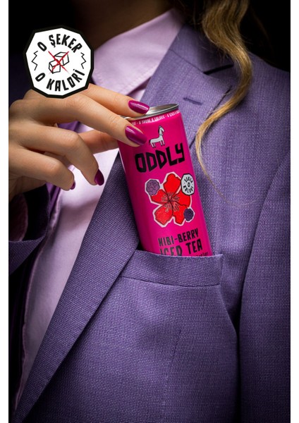 Saçma İyi Soğuk Çay Dörtlüsü (Peach-Rooi, Hibi-Berry, Ginger-Punch, Berry- Matcha) Kutu 250 ml 8 Adet fırsatları