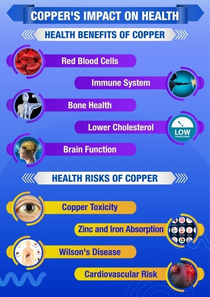 Zinc Copper With Kelp Iodine & Pumpkin Complex Bakır Esmer Suyosunu Çinko Immune Sistemi Complex