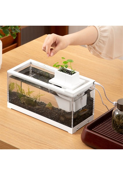 Ofis ve Ev Için LED Aydınlatmalı Sessiz Filtreli Masaüstü Akvaryum Balık Tankı Besleme Akvaryumu (Yurt Dışından) fiyatları