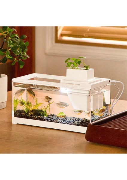Ofis ve Ev Için LED Aydınlatmalı Sessiz Filtreli Masaüstü Akvaryum Balık Tankı Besleme Akvaryumu (Yurt Dışından) modelleri