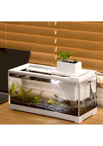 Ofis ve Ev Için LED Aydınlatmalı Sessiz Filtreli Masaüstü Akvaryum Balık Tankı Besleme Akvaryumu (Yurt Dışından) indirimleri