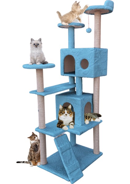 Kule Kedi Evi Tırmalama ve Kedi Evi