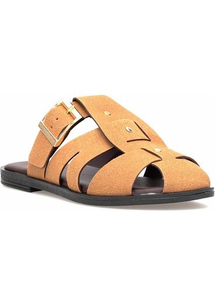 Elit BTSS03 Kadın Düz Terlik Camel fiyatları