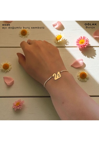 Ocak Ayı Doğumları İçin Kuğu Kuşu Motifli 14 Ayar Altın Plakalı Beyaz Taşlı Hediye