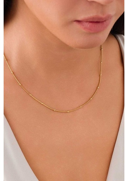 14 Ayar Altın Toplu Tondo Balık Sırtı