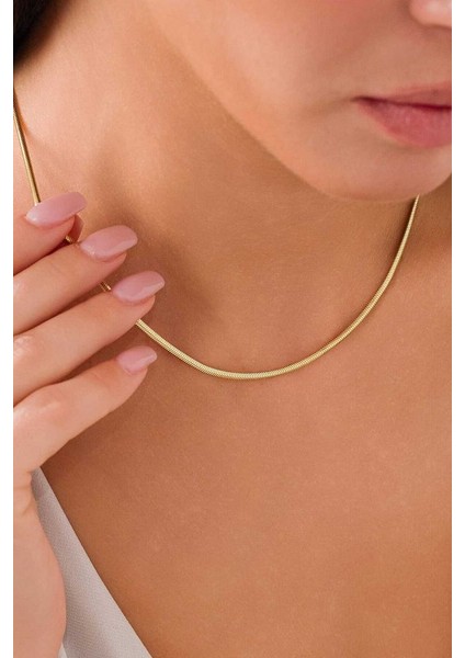 14 Ayar Altın Balık Sırtı Kolye