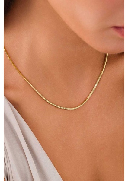 14 Ayar Altın Balık Sırtı Kolye fırsatları