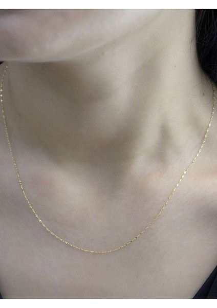 14 Ayar Altın Ince Aynalı Zincir Kolye