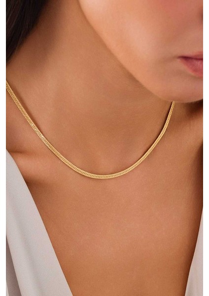 14 Ayar Altın Yassı Balık Sırtı Kolye