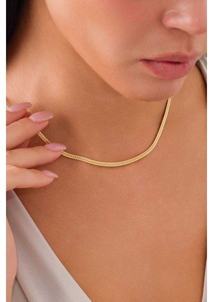 14 Ayar Altın Yassı Balık Sırtı Kolye fiyatları