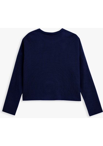 Uzun Kollu Bisiklet Yaka Basic Triko Kazak fırsatları