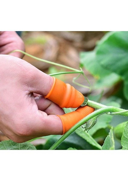 Baş Parmak Sebze Ayıklayıcı Set Kadın modelleri