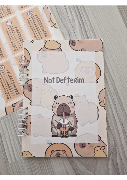 Capy Temalı Pembe Pvc Çarpım Tablosu ve A5 Not Defteri fiyatları