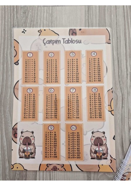 Capy Temalı Pembe Pvc Çarpım Tablosu ve A5 Not Defteri modelleri