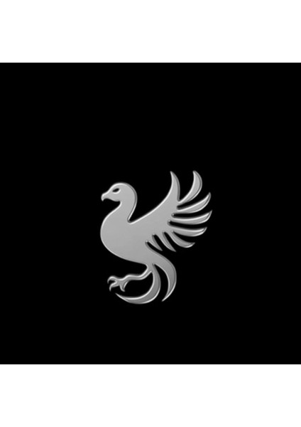 925 Ayar gümüş kolye anka kuşu SM7771