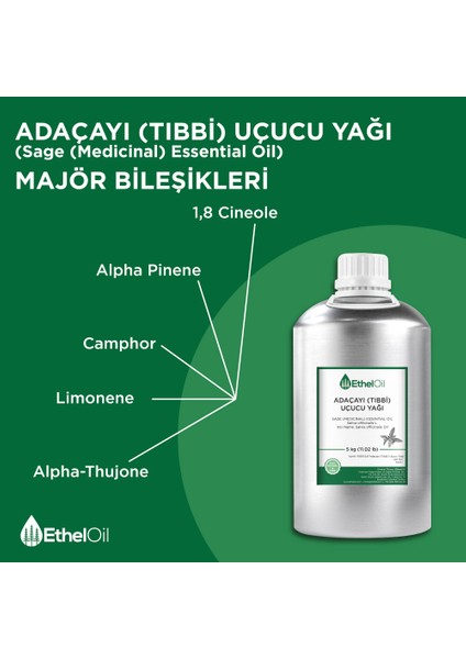 Adaçayı (Tıbbi) Uçucu Yağı - Etheloil - 5 kg - %100 Saf ve Doğal Uçucu Yağ - Üretici Firma, Yüksek Kalite - Sage (Medicinal) Essential Oil - Salvia Officinalis L.