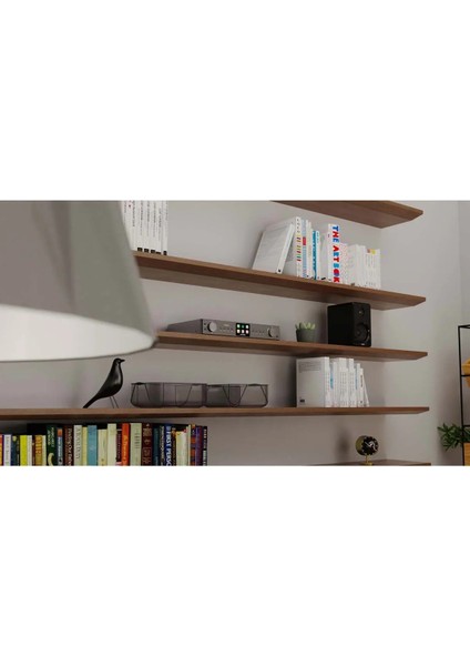 Majorıty Fitzwilliam-2 Medya Oynatıcı Siyah