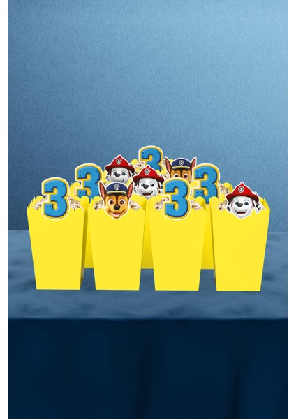 Paw Patrol Doğum Günü Parti Seti - 3 Yaş Doğum Günü Konsepti - Midi indirimleri