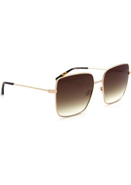 Ck 20135S C717 Kadın Güneş Gözlüğü modelleri