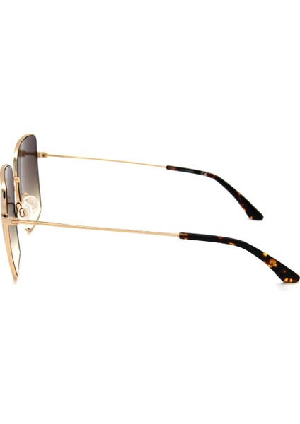 Ck 20135S C717 Kadın Güneş Gözlüğü fırsatları