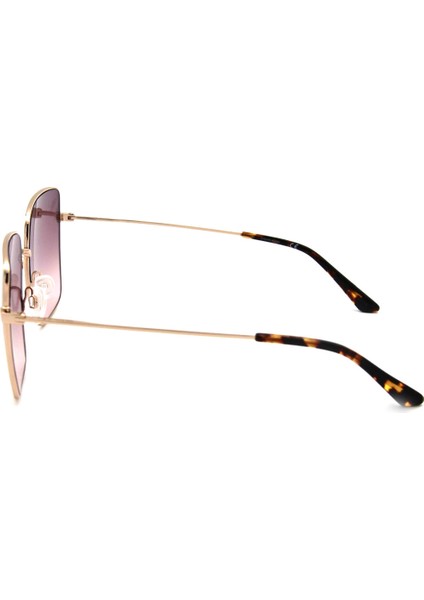 Ck 20135S C718 Kadın Güneş Gözlüğü fırsatları